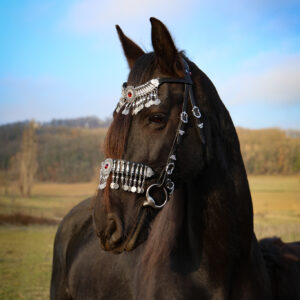 Le 1001 Nuits - Bridon Cheval Artisanal Fait Main