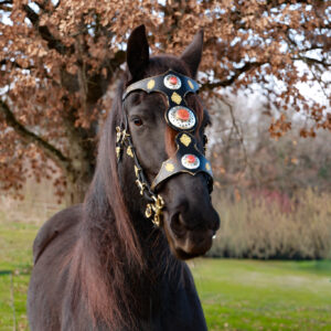 L'Atlas - Bridon Cheval Artisanal Fait Main