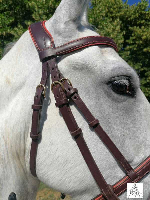 bridon cuir tete cheval blanc