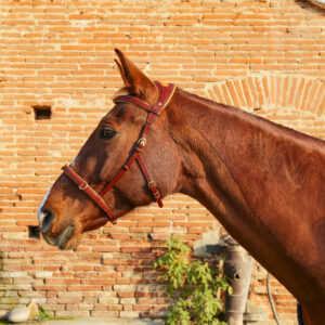 Side-Pull L’Intemporel