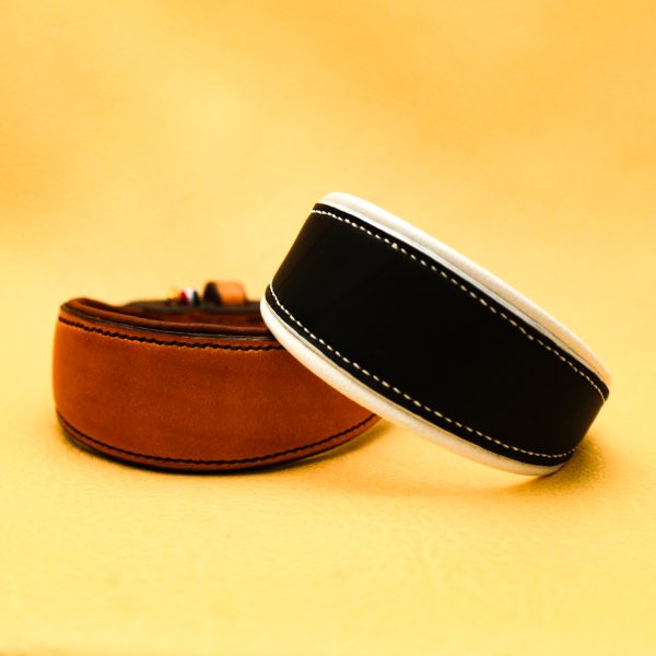 Collier chien L'Intemporel Lévrier