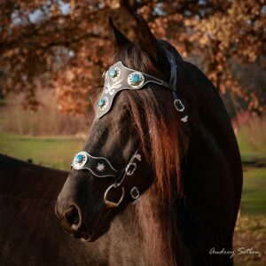 L'Azur - Bridon Cheval Artisanal Fait Main