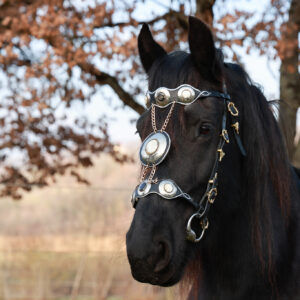 Le Gladiateur - Bridon Cheval Artisanal Fait Main